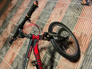 Duronto Bicycle