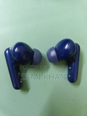 সাউন্ডকোর পি৪০আই এএনসি বাডস