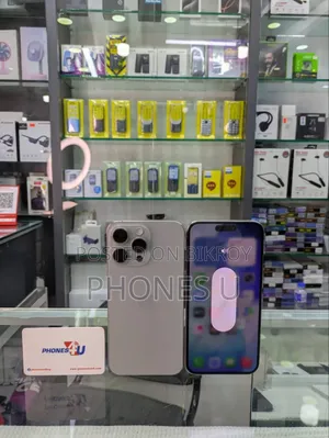 Apple iPhone 15 Pro Max 256 GB Gray