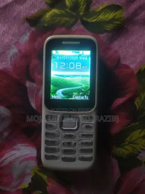 Samsung Guru Music 2 White