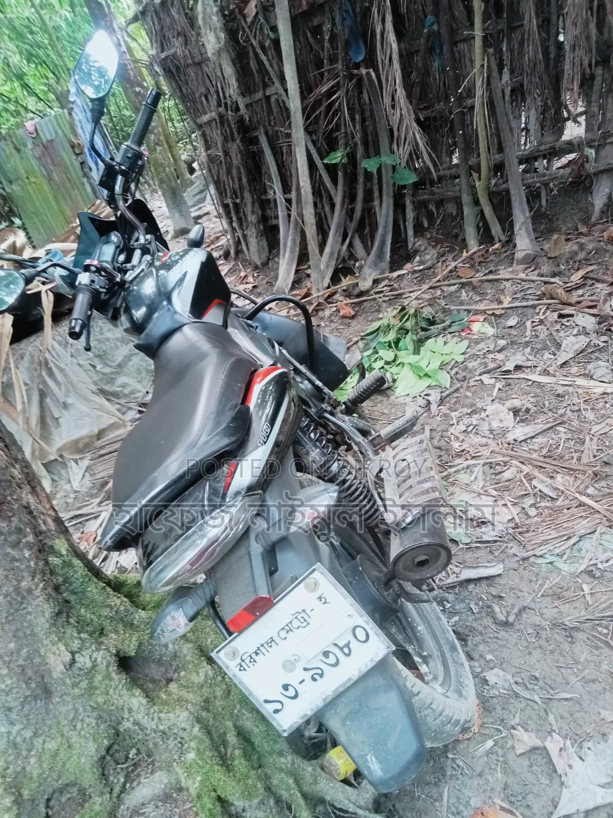 বাজাজ ডিসকভার ১২৫ ২০১৯ কালো