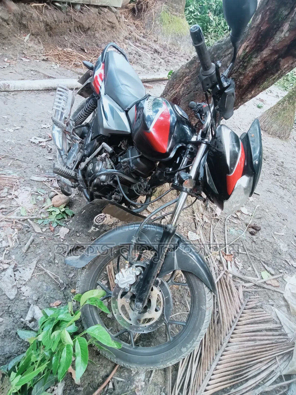 বাজাজ ডিসকভার ১২৫ ২০১৯ কালো