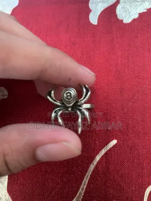 এস্থেটিক চেইন এবং রিং