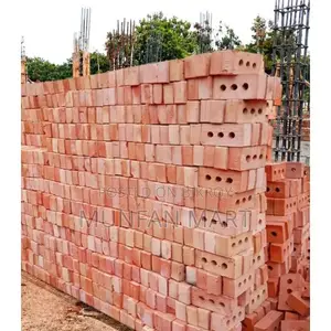 নাটোরের বনলতা ৩-হোল অটো ব্রিকস