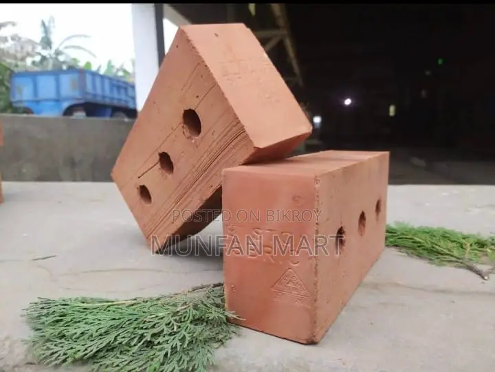 মানিকগঞ্জ থেকে ৩ ছিদ্রে স্টোন ব্রিকস
