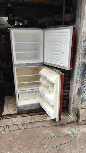 ৩১৬ লিটার রানিং ওয়ালটোন ফিরিজ বিক্রি করা হবে।