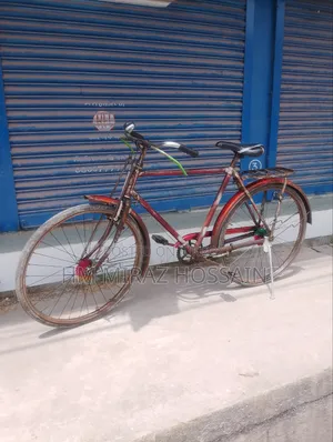 Standard Bicycle