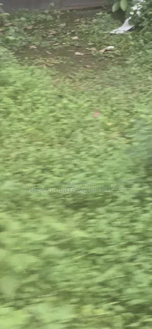 Expatriate Category 5 Katha Plot for Sale Next to Rajuk Sector 24 Forest