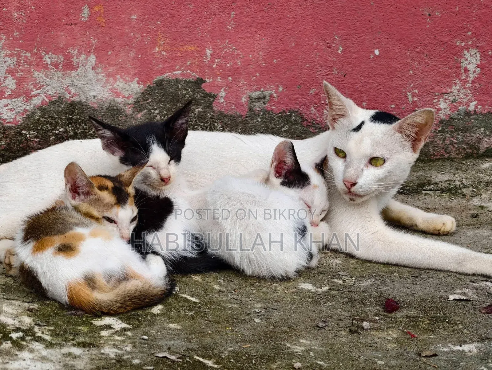 হুয়াওয়ে পি২০ প্রো ১২৮ জিবি কালো