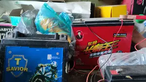 12 Volt Bike Battery
