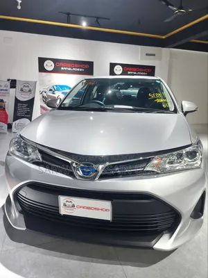 Toyota Axio 2021 Silver