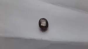 Gomed Stone New