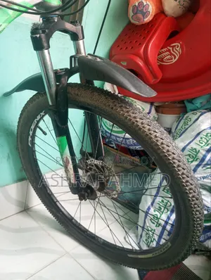 Phoenix Cycle