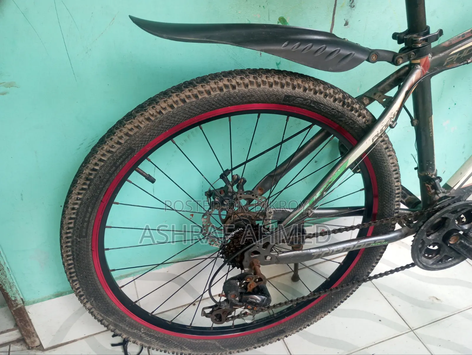 Phoenix Cycle