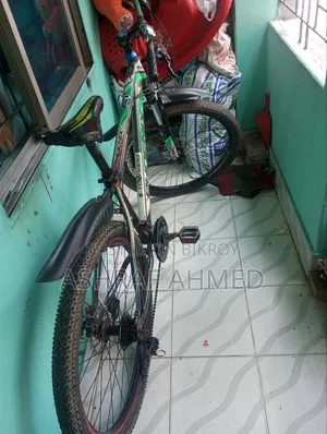 Phoenix Cycle