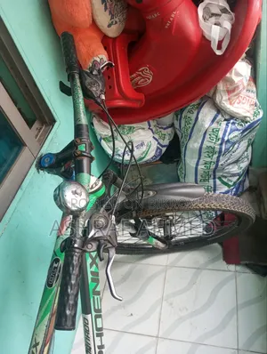 Phoenix Cycle