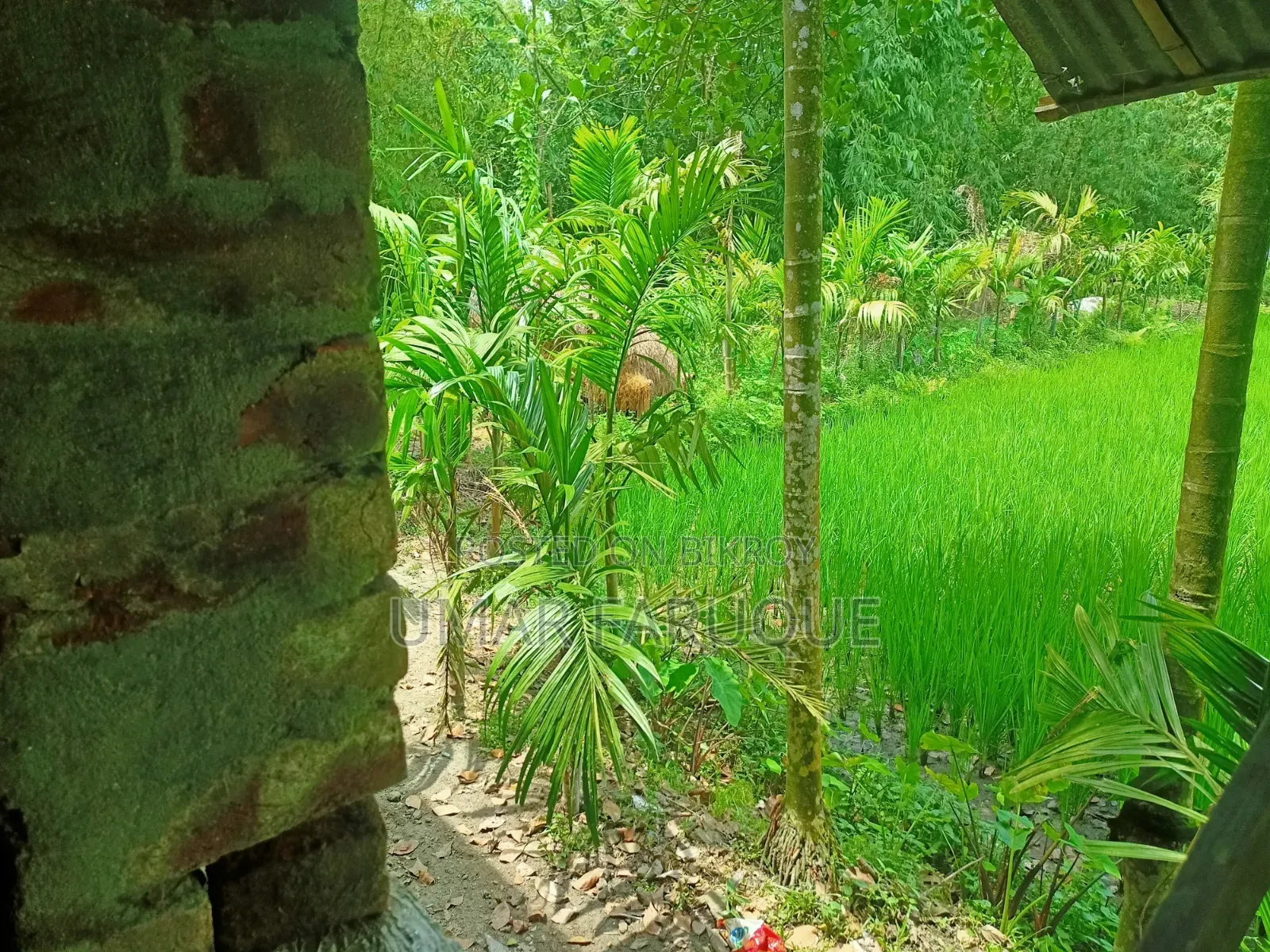 জমি বিক্রয় হবে
