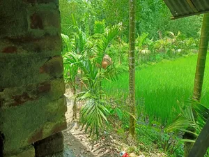 জমি বিক্রয় হবে