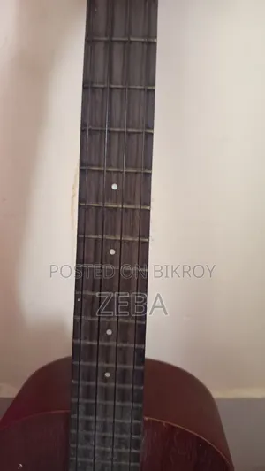 24 Inch Ukulele