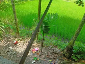 জমি বিক্রয় হবে