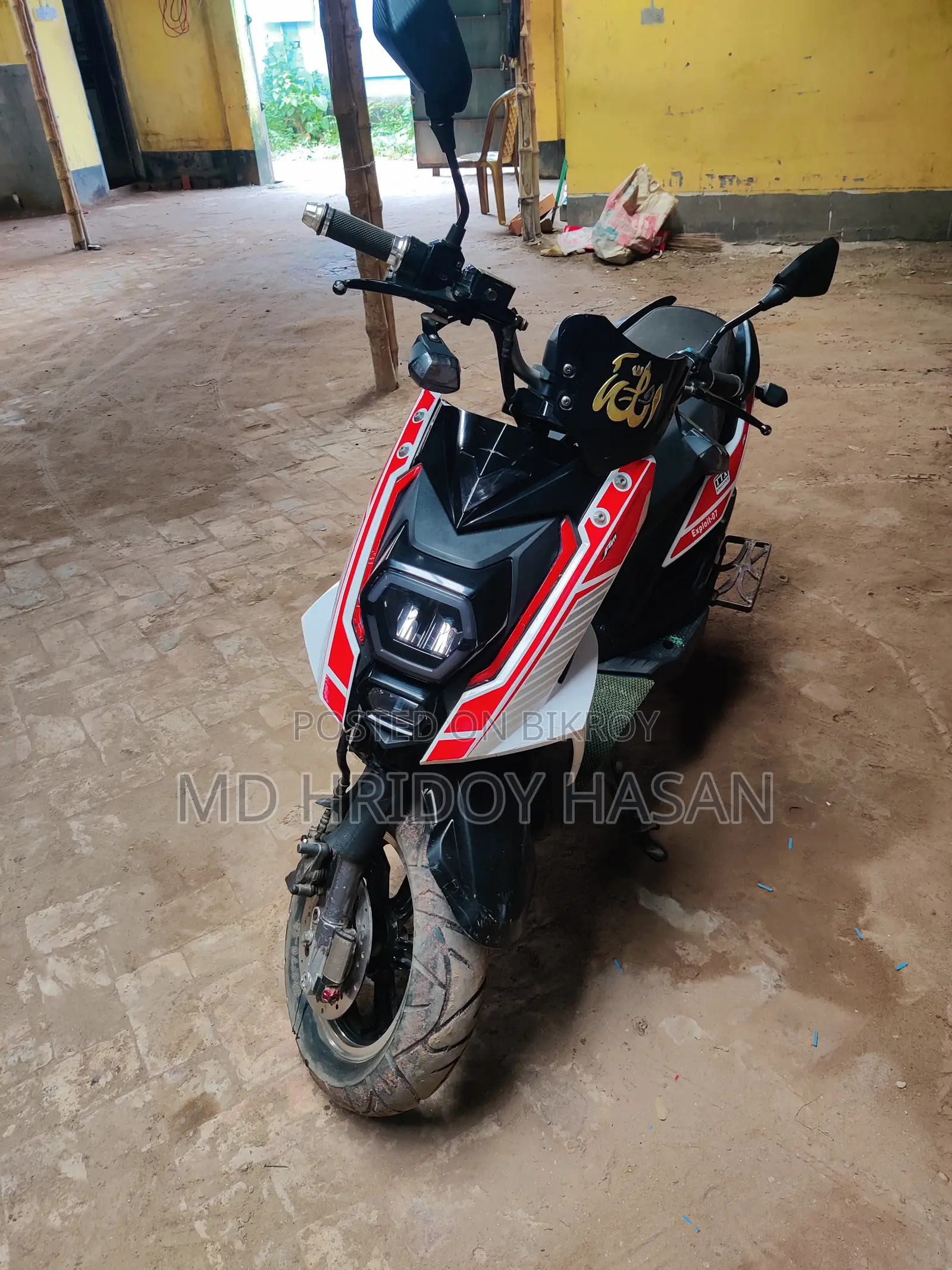 Green Tiger I Auto 1 2024 White