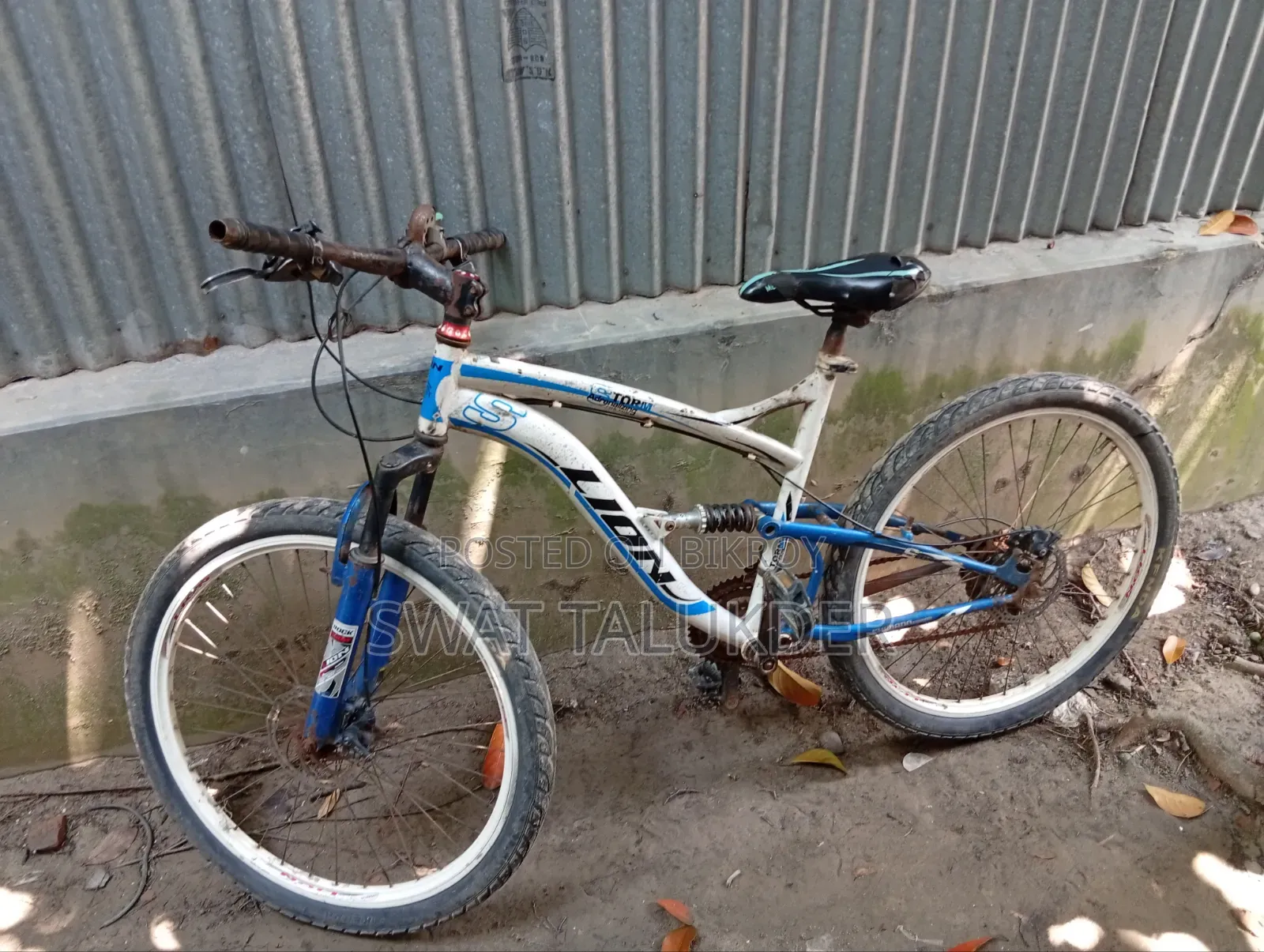 Bicycle lion