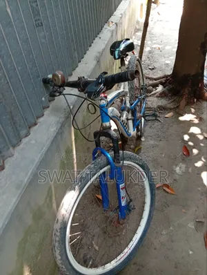 Bicycle lion