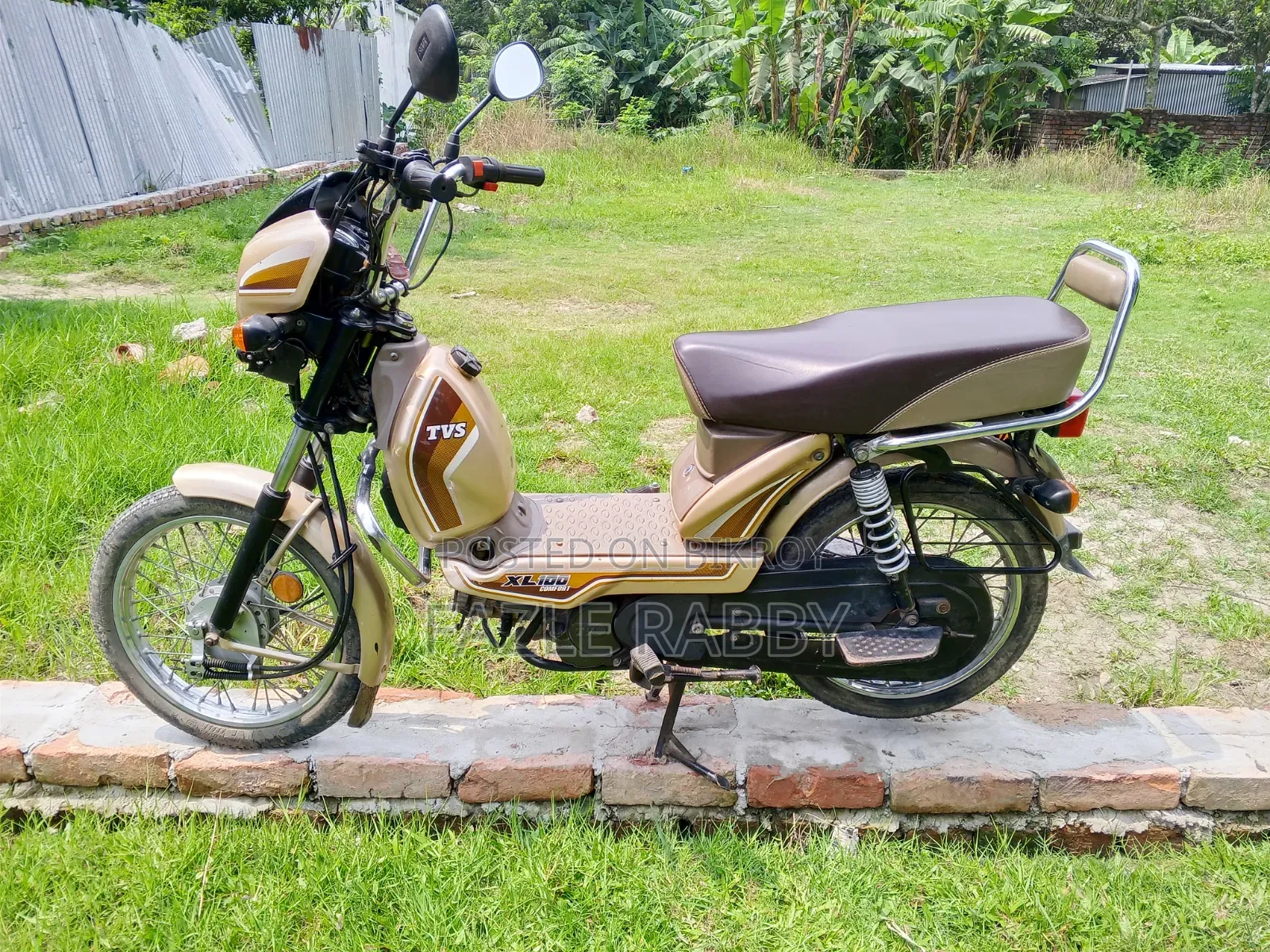 TVS XL 100 Comfort 2021