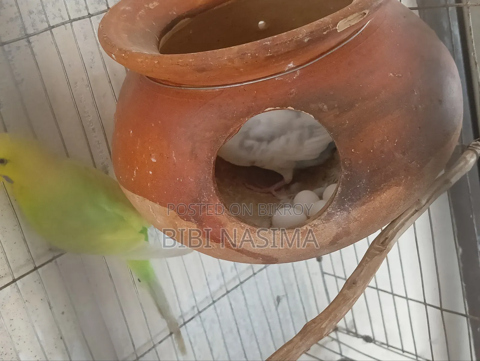সম্পূর্ণ সেট আপ বিক্রয়ের জন্য