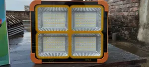 Solar LED Light