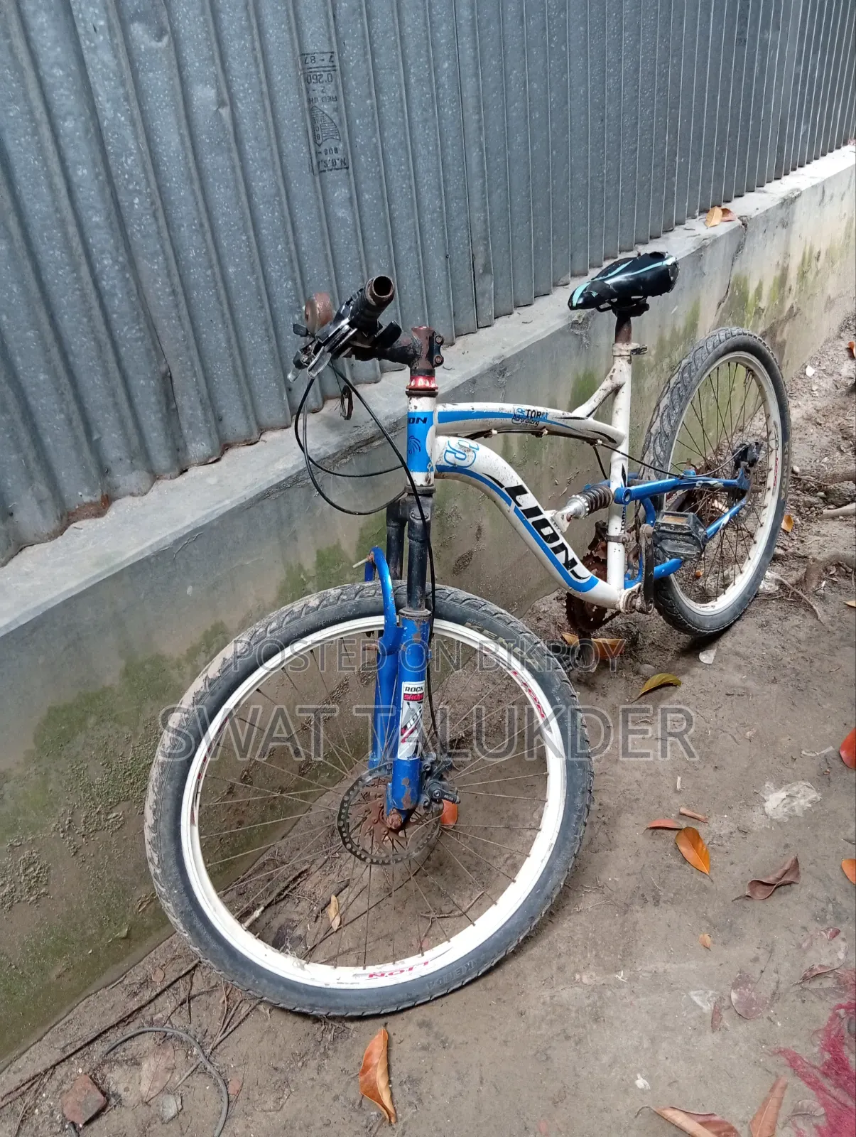 Bicycle lion