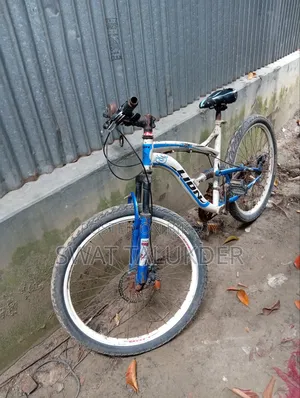 Bicycle lion