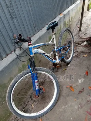 Bicycle lion