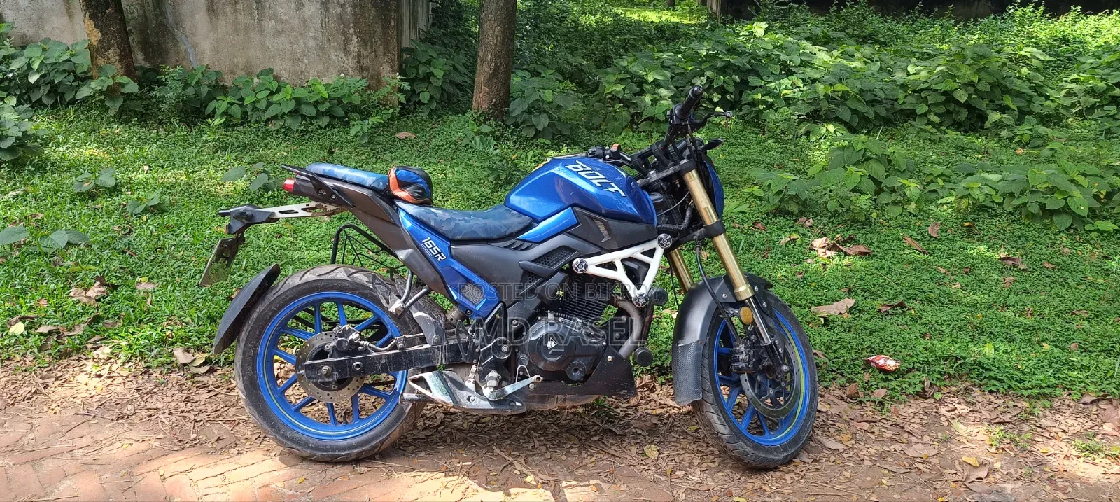 Runner Bolt 165R 2023 Blue
