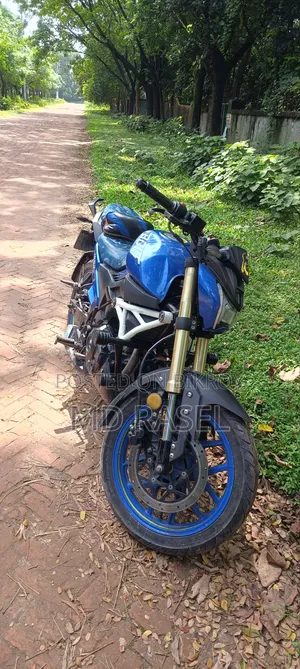 Runner Bolt 165R 2023 Blue