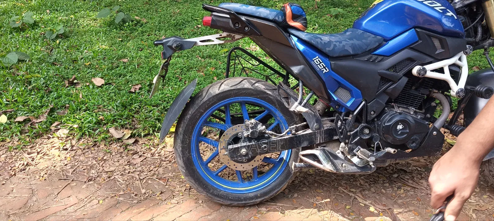 Runner Bolt 165R 2023 Blue