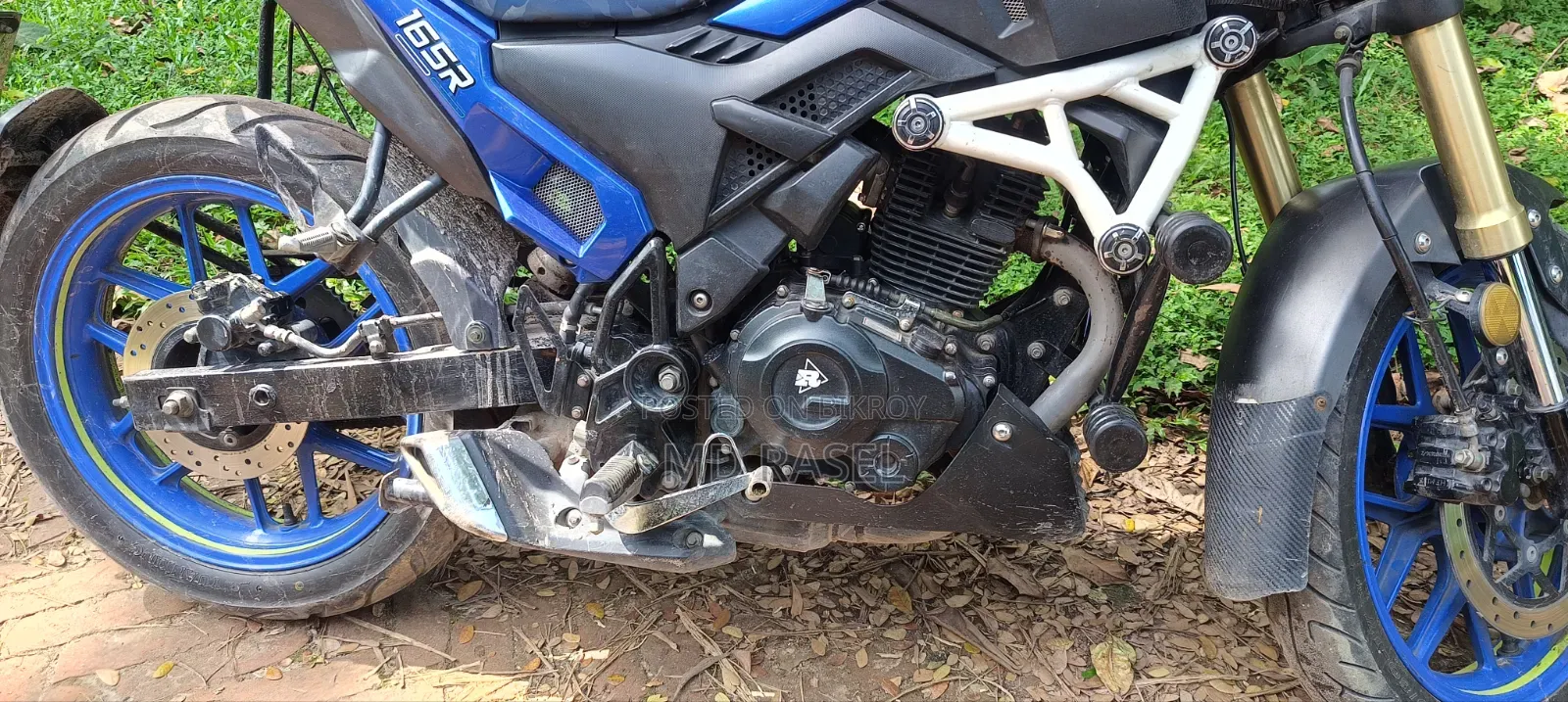 Runner Bolt 165R 2023 Blue