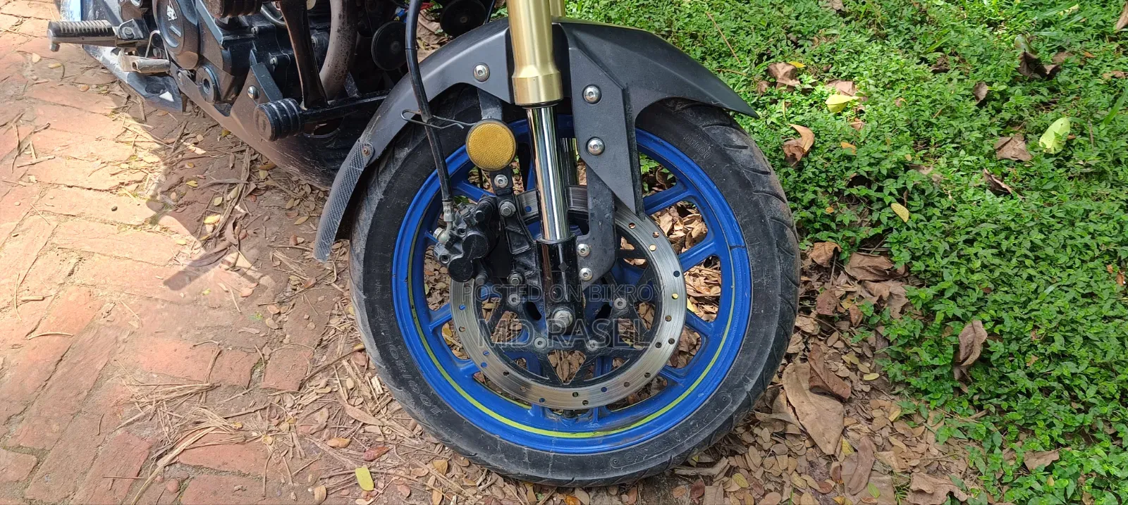 Runner Bolt 165R 2023 Blue