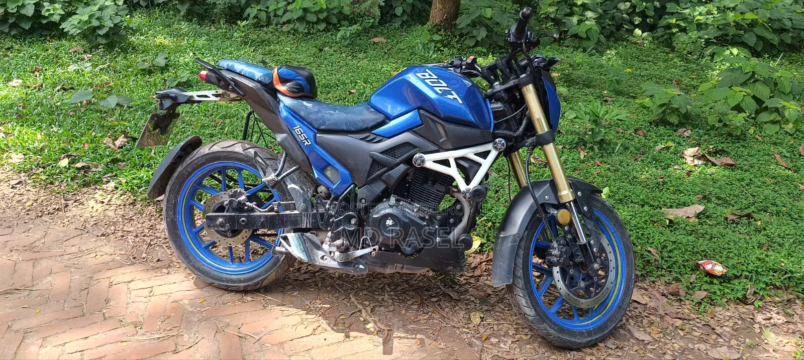 Runner Bolt 165R 2023 Blue