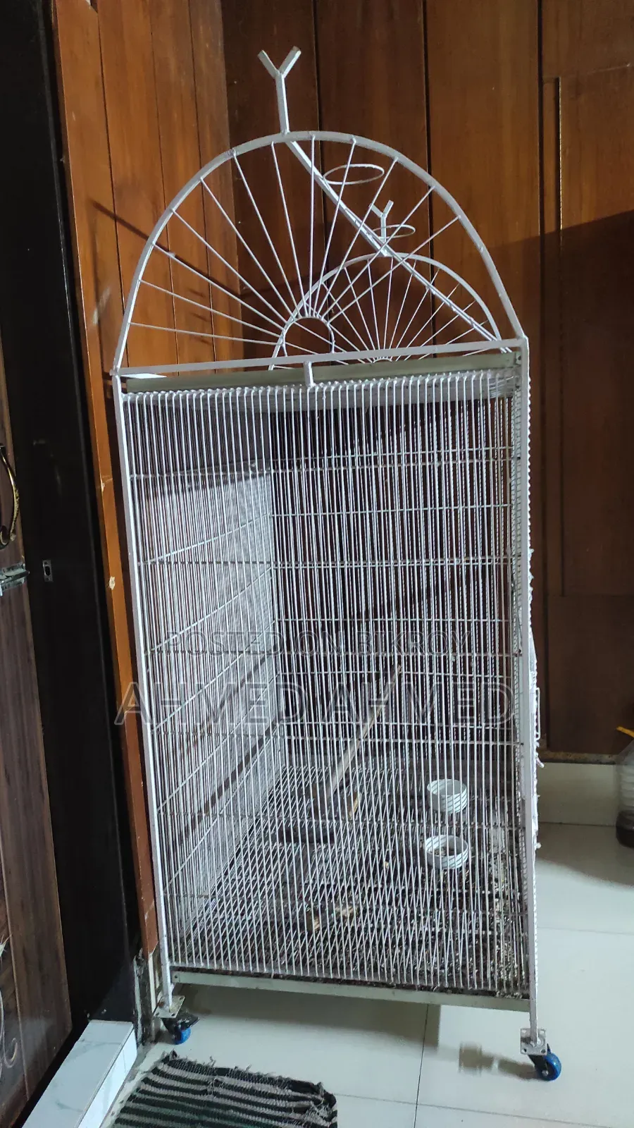 ম্যাকাও কেজ