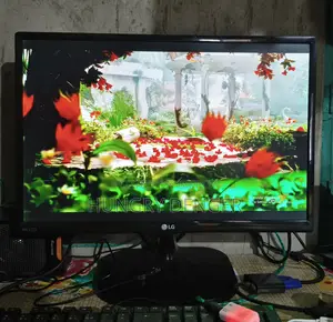 LG Monitor 19.5"