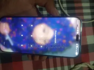 Honor 200 Lite 12 GB Gray
