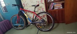 Alpha 300 Cycle