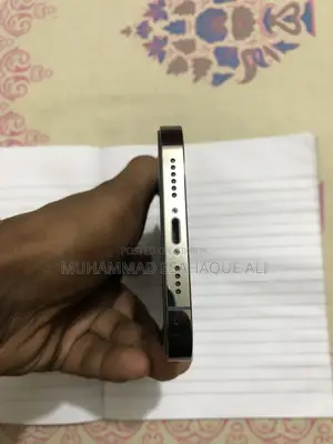 Apple iPhone 13 Pro Max 1 TB Gray