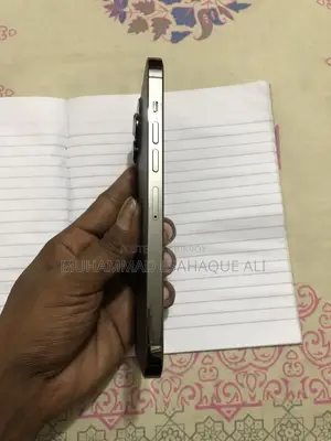 Apple iPhone 13 Pro Max 1 TB Gray