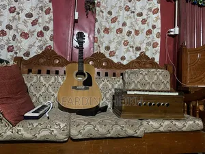 Guitar Epiphone Dr 100