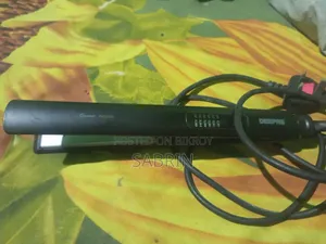 ২ টি হেয়ার স্ট্রেইটনার