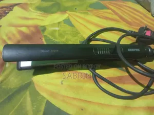 ২ টি হেয়ার স্ট্রেইটনার