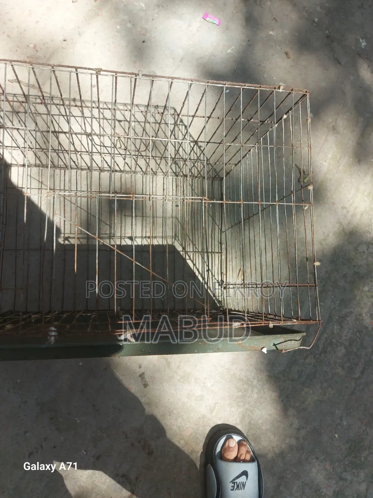 Two Cages Will Be Sold