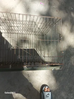 Two Cages Will Be Sold